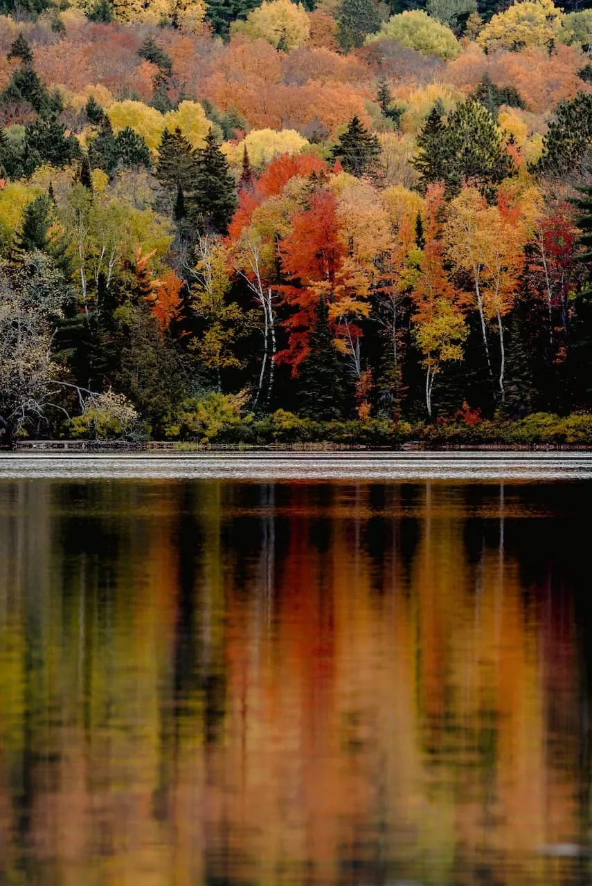 Still fall reflection on Broken Bow Lake at golden hour
