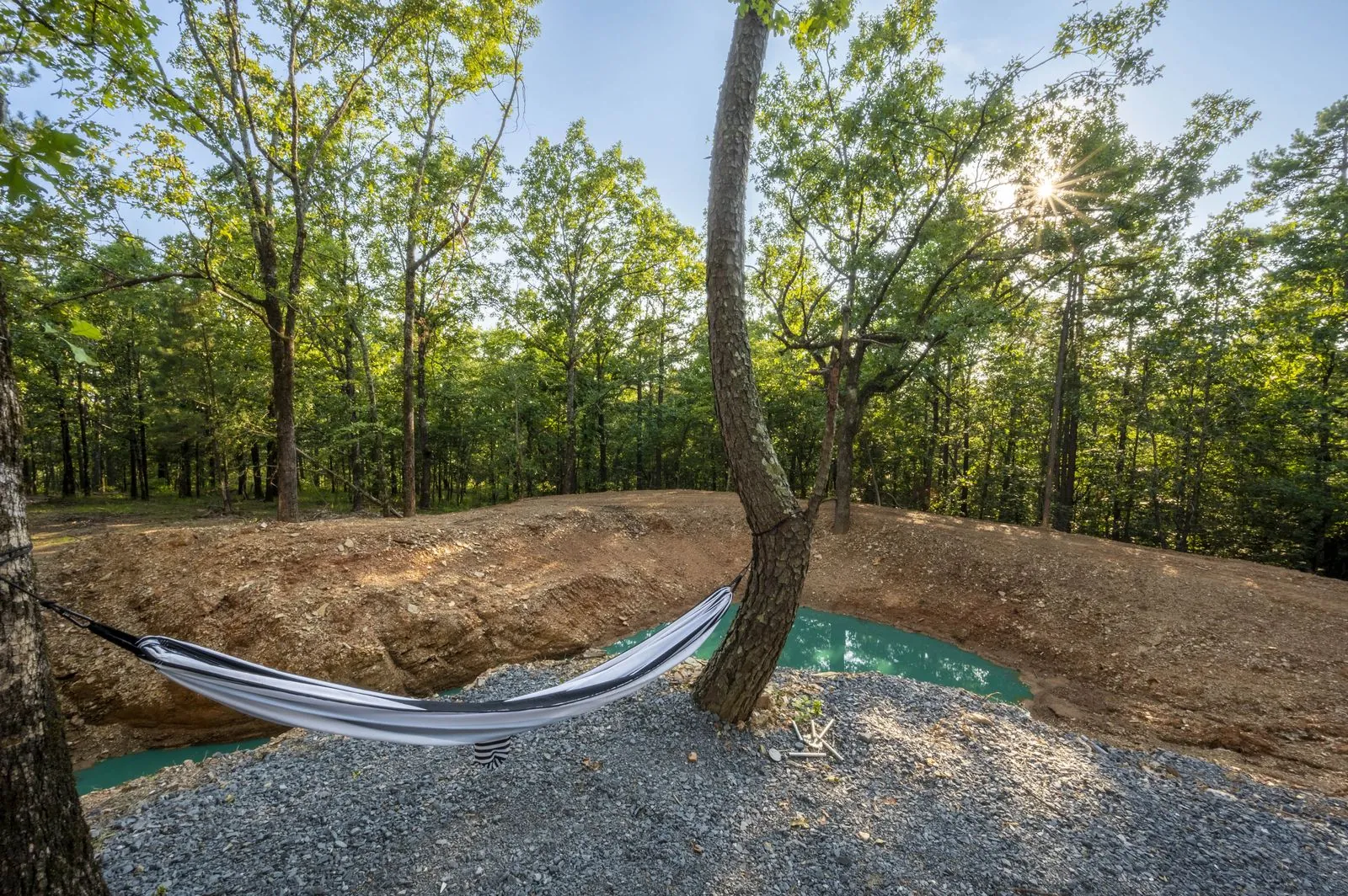Hammock strung between trees in the forest surrounding The Aroha luxury cabin