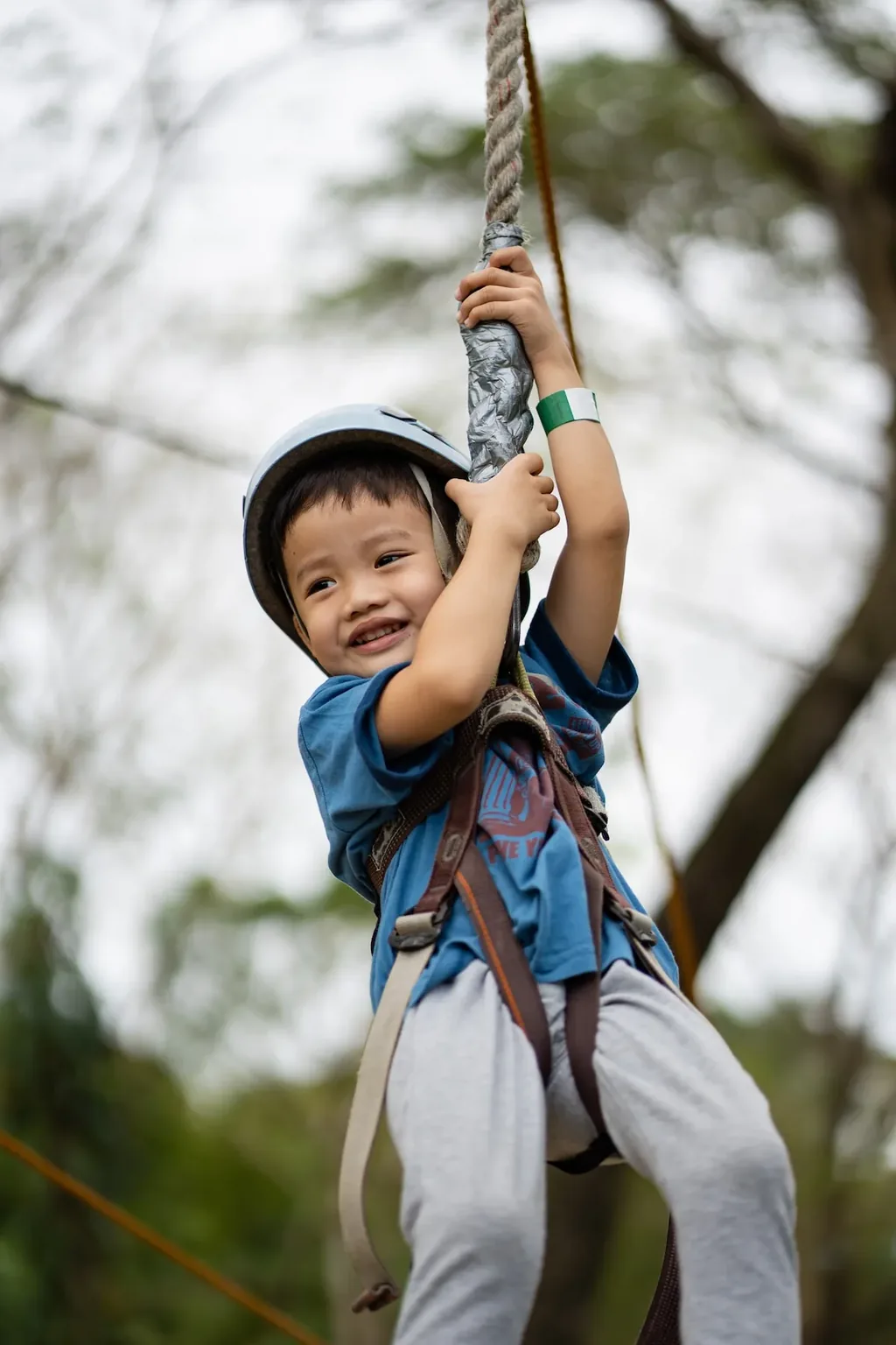The Black-Beary — Zip line adventure · harness and helmet gear