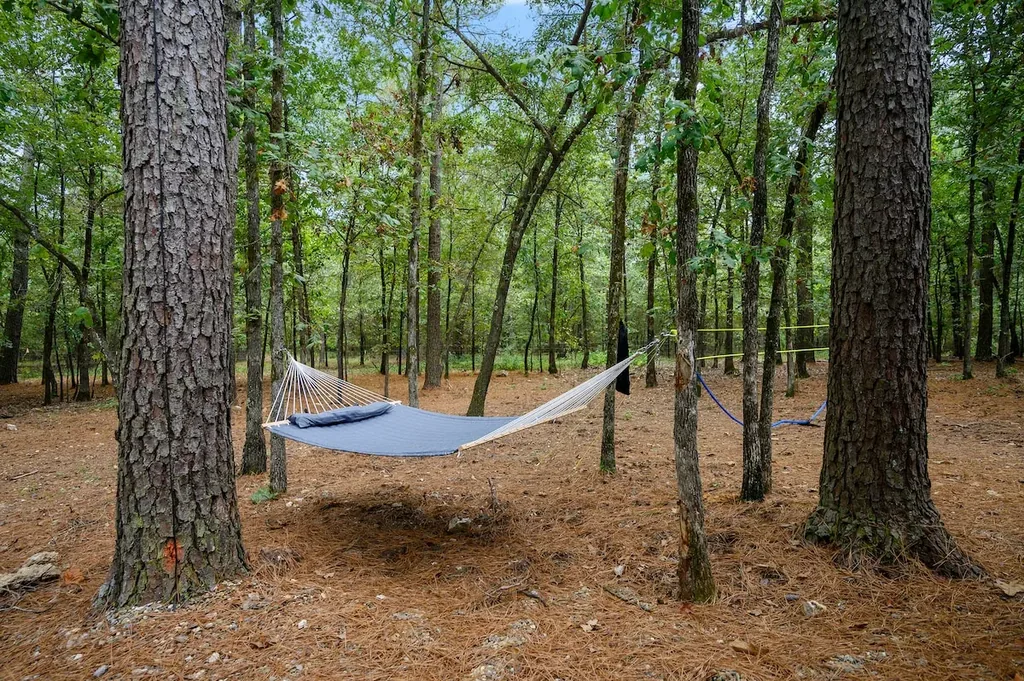 The Black-Beary — Unwind in a private hammock strung between the pines on the property's own wooded grounds.